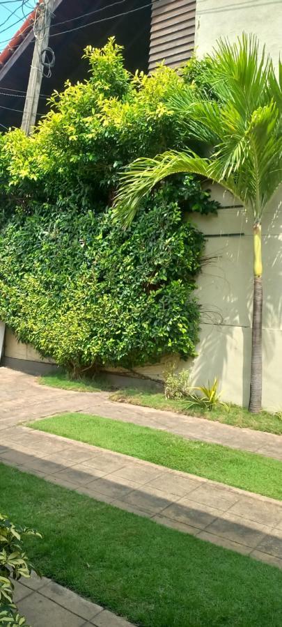 Ocean View Tourist Guest House At Negombo Beach Near The Airport Kültér fotó