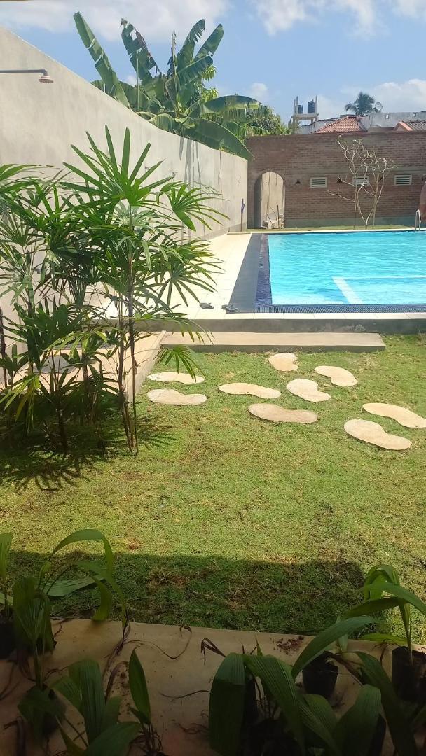 Ocean View Tourist Guest House At Negombo Beach Near The Airport Kültér fotó